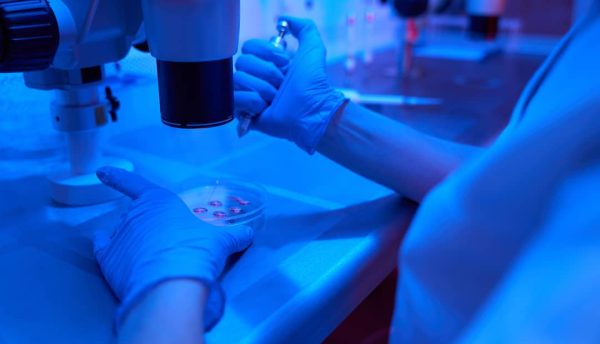 embryologist-in-a-modern-cryo-laboratory-works-wit-2023-11-27-05-32-58-utc